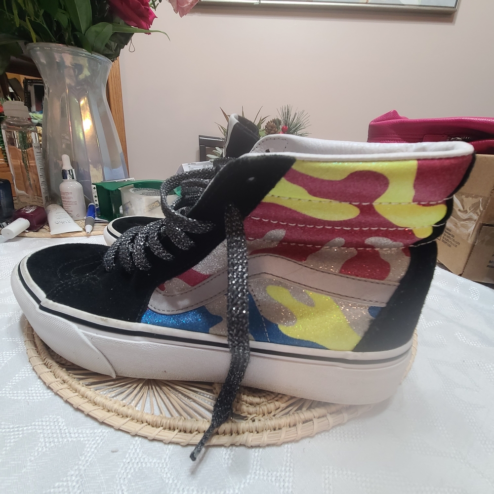 Vans Skateboard Shoes